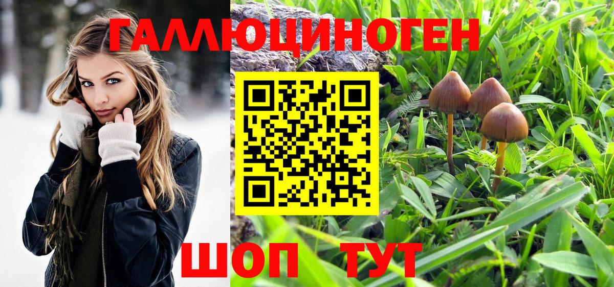Зеленокумск  Псилоцибиновые грибы мухоморы  Вход с VPN 